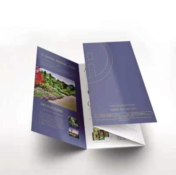 Reklama Business Trifold Brochure Full Color Fancy Tri Fold Flyer